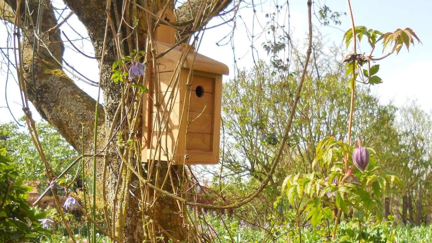 Mit Nistkästen für mehr Artenvielfalt im eigenem Garten