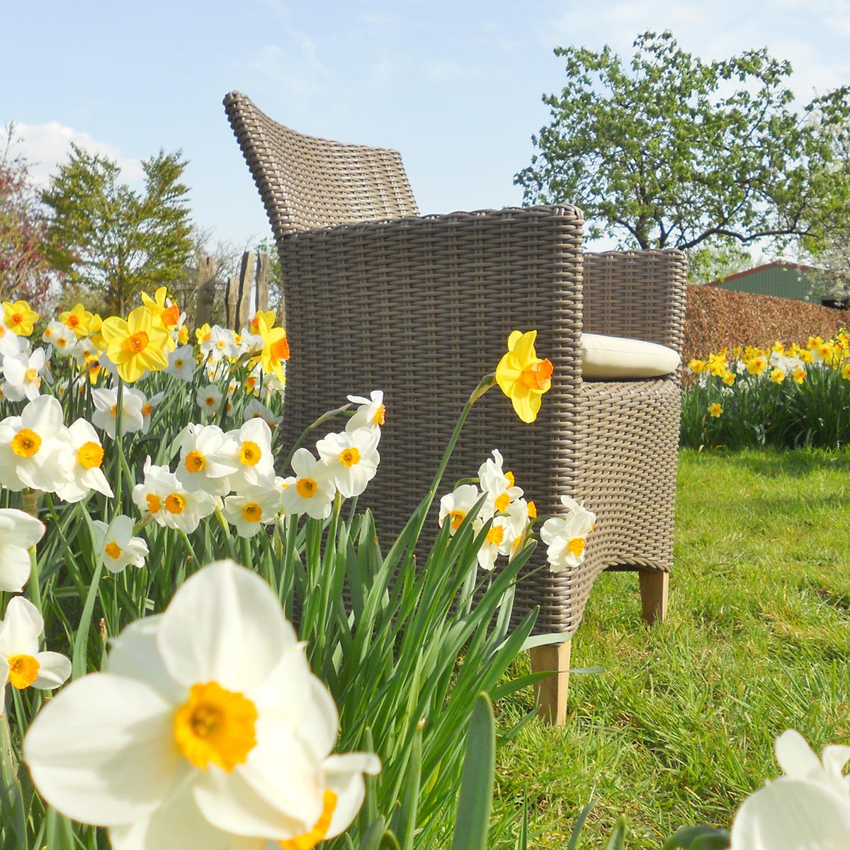 Gartensessel Timur, Polyrattan, kubu grau